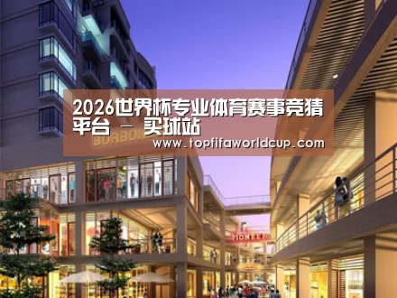 案例展示一(图1)