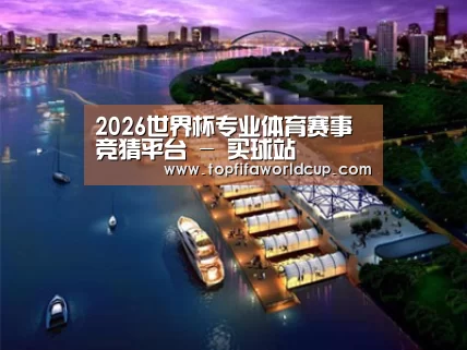 案例展示八