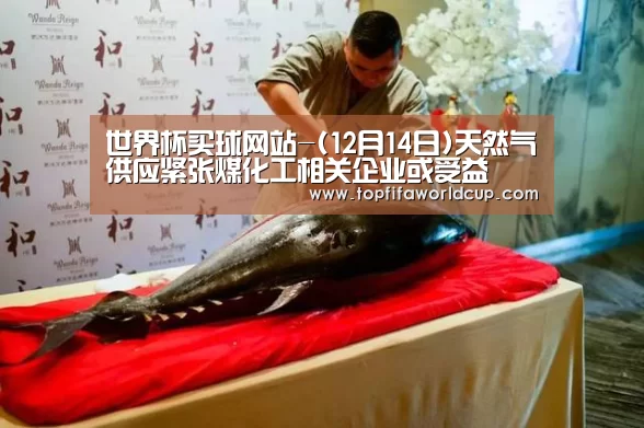 世界杯买球网站-(12月14日)天然气供应紧张煤化工相关企业或受益