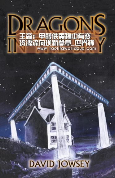 王森:甲醇供需稳中有变货源流向现新篇章_世界杯买球官网(图3) 世界杯买球平台